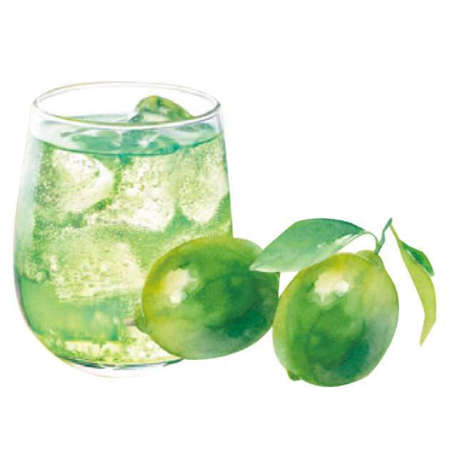 ワロッカ　ジンライム風　１L