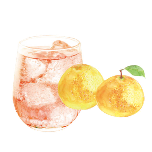 ワロッカ　ピングレ１L