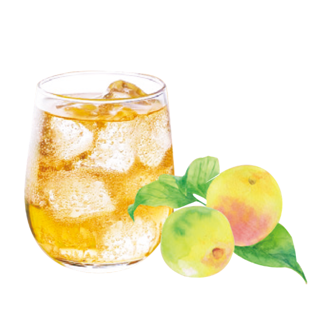 ワロッカ　ウメシュ風１L