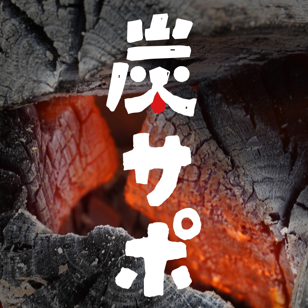 炭サポとは