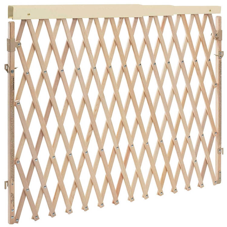 �٥ӡ������� �����֥�ե��� 81cm �ʥ����륦�å� �����������롼 ������ evenflo