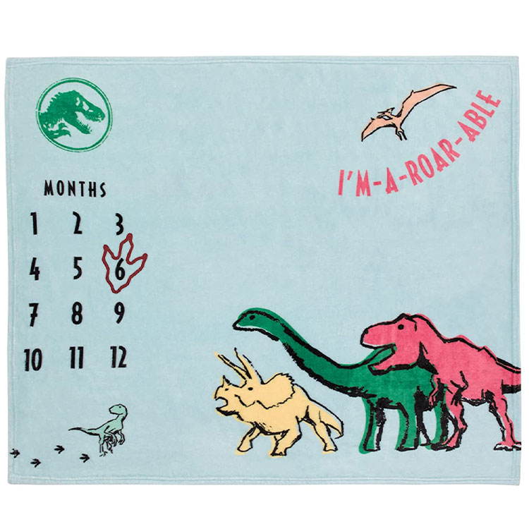 �ǥ����ˡ� �ޥ������ե����С� �֥�󥱥å� ����饷�å� ���� �ޥ��륹�ȡ��� �ե��� ������ �л��ˤ� ��Ĺ ��ǰ�̿�