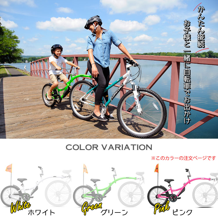 補助自転車 ポタリング 20インチ ケント ウィライド コパイロット