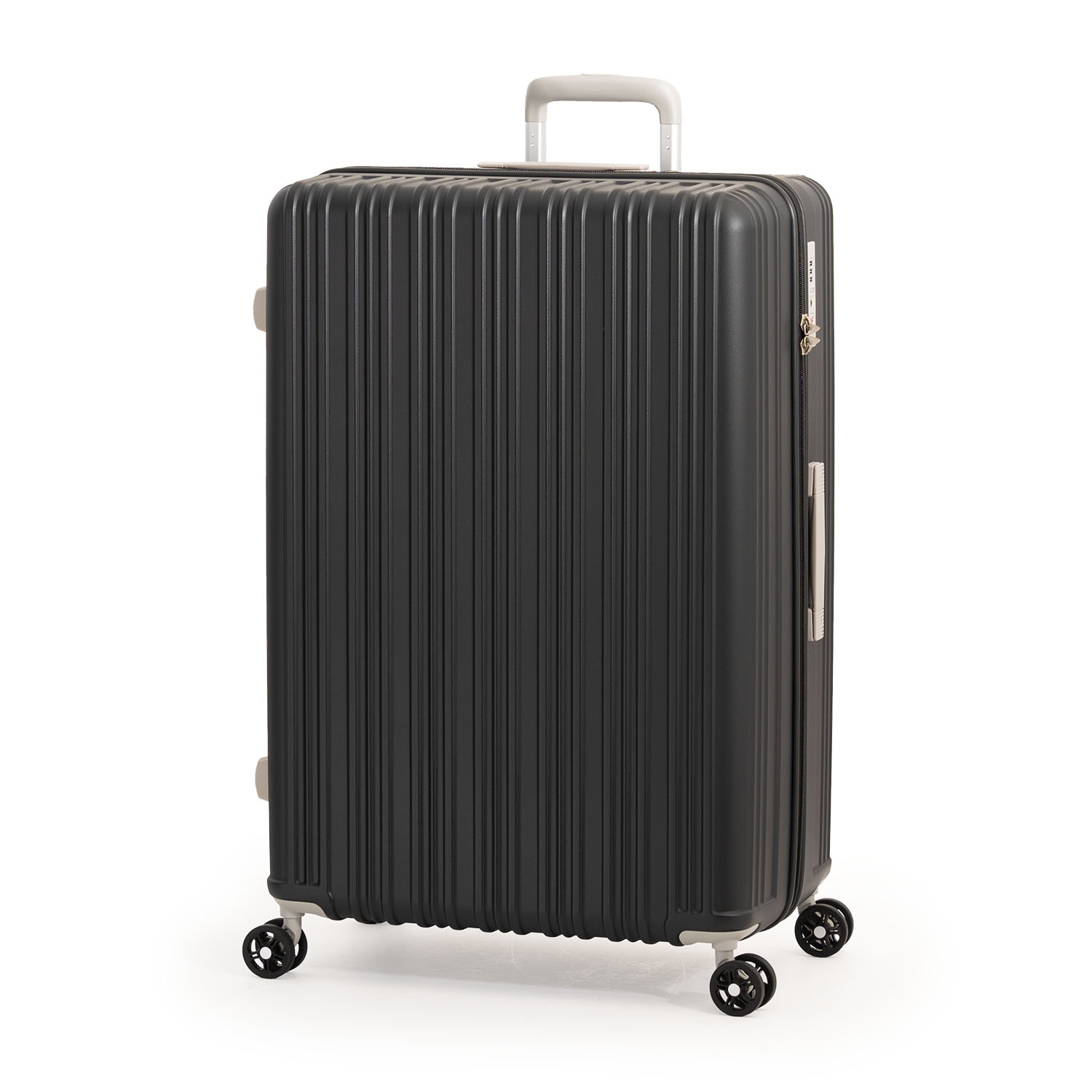 キジ 標本 約30cm キジの剥製標本 約30cm