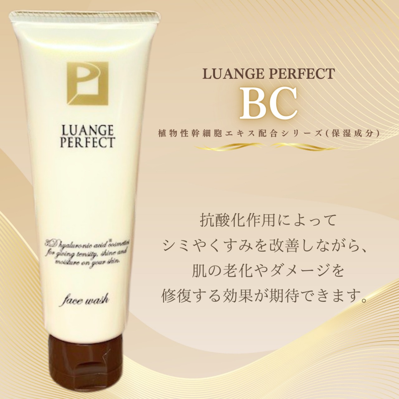 LP BC エッセンス&クリーム 000000000063_tp2P11l.jpg