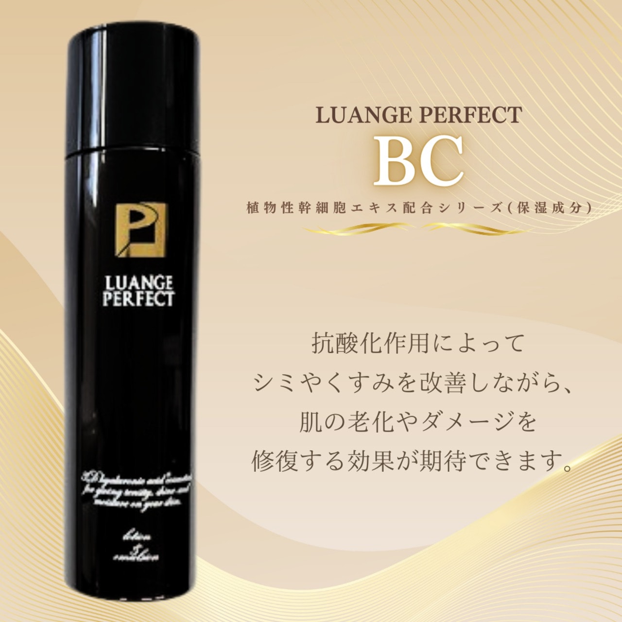 ルアンジュパーフェクト BC ローション&エマルジョン | スキンケア