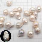 淡水パール ルース【穴なし】横約13-14ｍｍ バロック オイスター 1個 高品質 パーツ ハンドメイド国内発送|パール|天然石アイテム