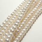 【240. ボタン 淡水パール ビーズ 連】  約5*3mm　長さ 約36cm ホワイト 国内発送 淡水真珠|パール|天然石アイテム