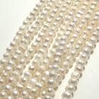 【242. ポテト 淡水パール ビーズ 連】 ベビーパール　約4*3mm　ホワイト　約38cm　淡水真珠　国内発送|パール|天然石アイテム