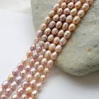 【256. 淡水パール ライス型 ビーズ 連 】ピンク5*6.5mm　約36cm 淡水真珠 国内発送|パール|天然石アイテム