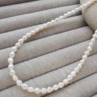 淡水パール ホワイト【 ネックレス ライス約4×5mm】 アジャスター付き アレルギー対応 ステンレス 日本製|その他