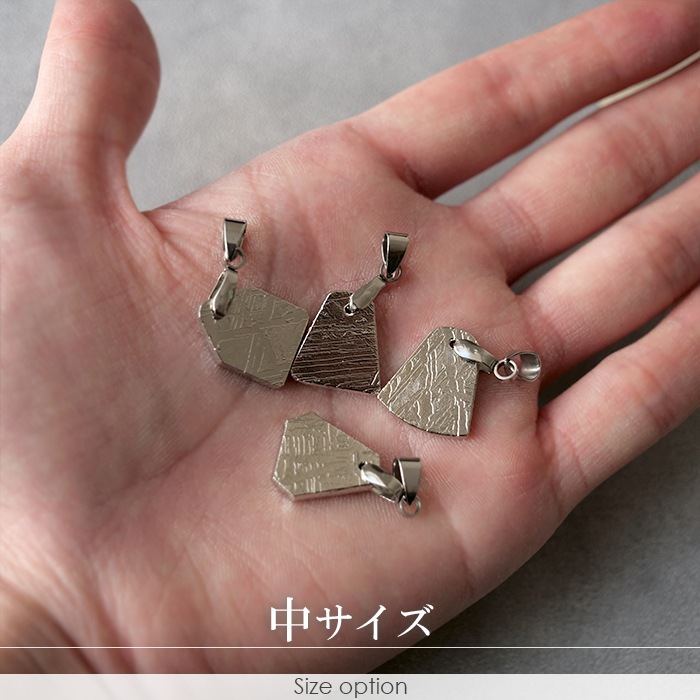 ギベオン ペンダントトップ 【1個】(日本製) 3サイズ 隕石 ステンレス