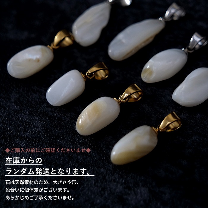 シェル ペンダントトップ【1個】 (中国産/日本製) 貝 ステンレス