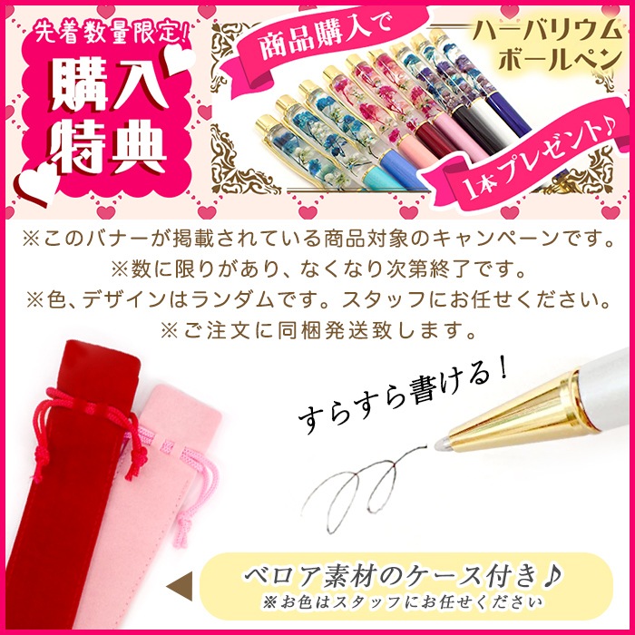 送料無料】母の日 プレゼント カーネーション ハーバリウム ギフト