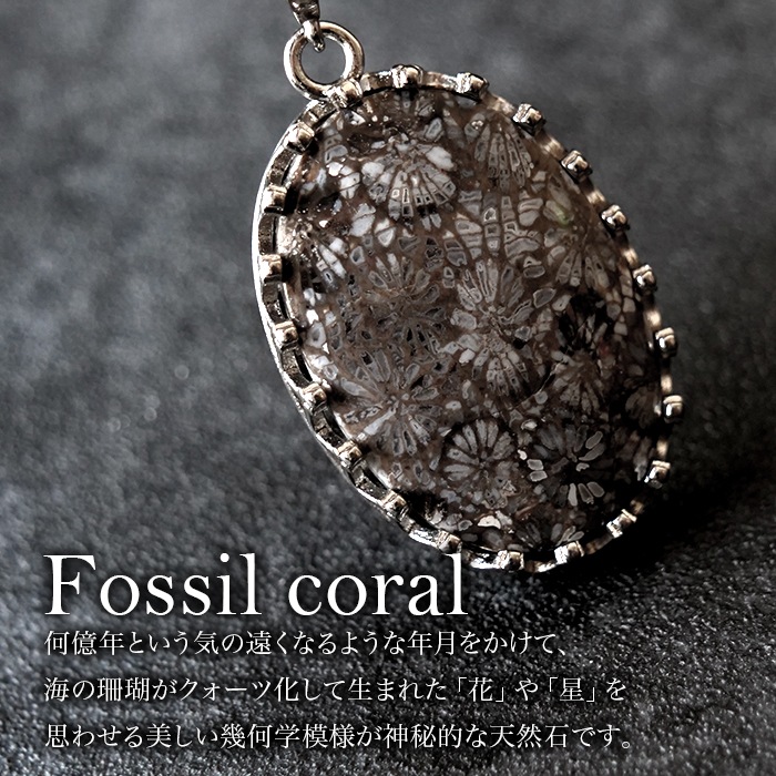 フォッシルコーラル ペンダントトップ【オーバル/ドロップ】【1個