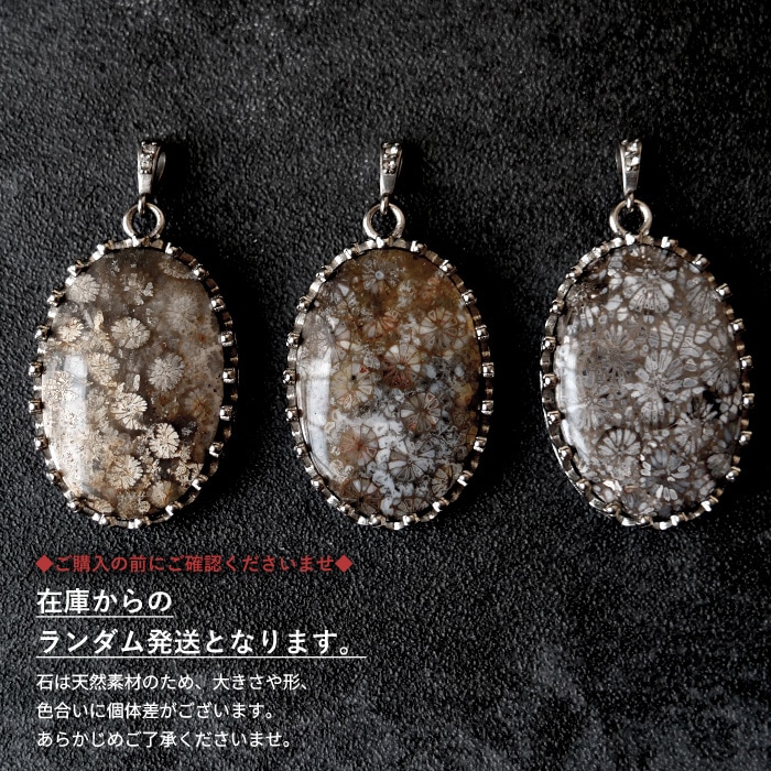 フォッシルコーラル ペンダントトップ【オーバル/ドロップ】【1個