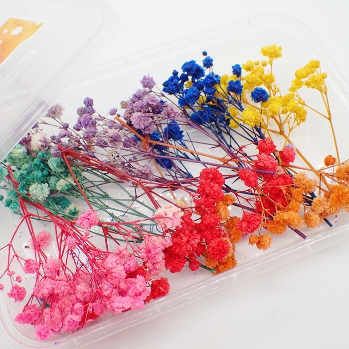 パール‎‎様◇【訳あり】かすみ草♡（ 732 ドライフラワー パーツ