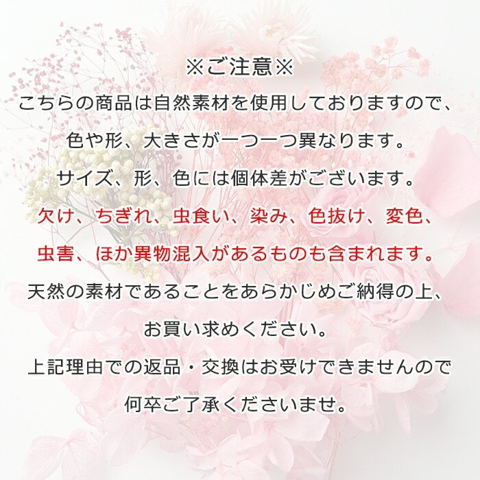 ドライフラワー商品一覧 | クロッチャショップ パール‎‎様【訳あり