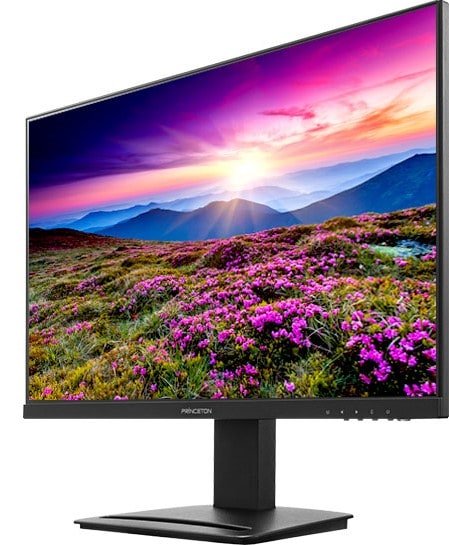PRINCETON PTFBFG-24W եHD23.8磻ɡվǥץ쥤 ֥å ˥