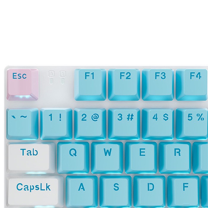 ゲーミングキーボード IPASON MPK94 ホワイト 赤軸 テンキー付き メカニカルキーボード USキーボード配列 英語キーボード配列 有線キーボード USB Type-C LEDライト 光る バックライト付き PC/Windows/Mac OS対応 ゲーミング用