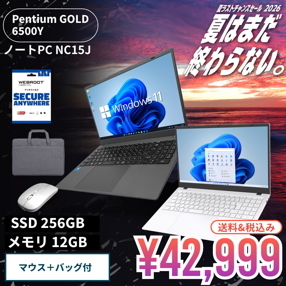【セール商品】2026サマーセット ノートパソコン PASOUL NC15J [マットグレイ/ホワイト] 15.6インチワイド Windows11 Intel Pentium GOLD 6500Y NVMe PCIe3.0 SSD256GB メモリ12GB フルHD 1920×1080 デュアルWifi Bluetooth USB3.0 Type-C HDMI WEBカメラ 日本語配列キーボード パソコンバッグ / ワイヤレスマウス / WEBROOTアンチウイルス付き