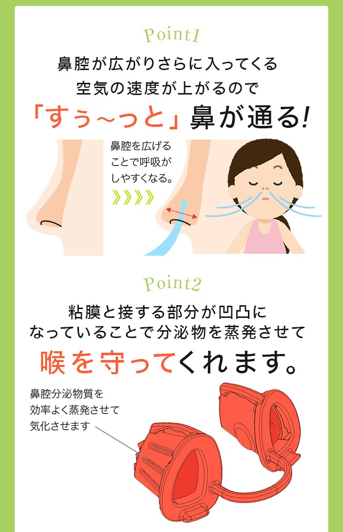 HANATAKA�ʥϥʥ����ˡ��ȡʤ����᥿���סˡ�����Ƥ�����������ɡ�Ƶ�¥�������񡡢������������͸����ξ����᥵�����⤢��ޤ� �ɥ饤�ޥ��� ���Ƶ��к�