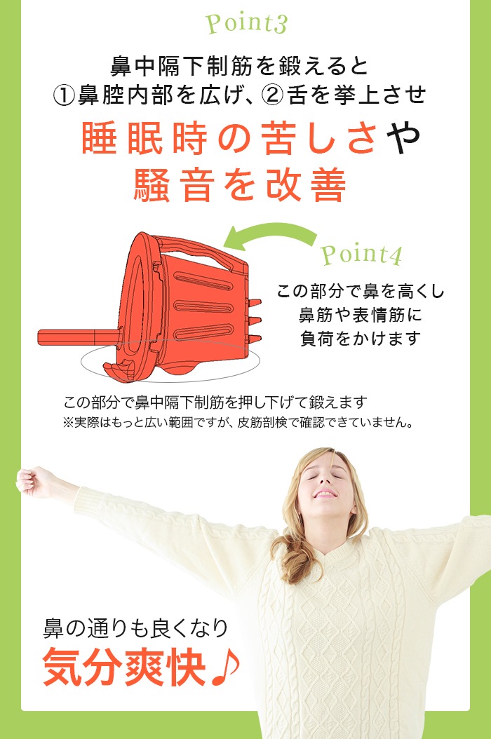 HANATAKA�ʥϥʥ����ˡ��ȡʤ����᥿���סˡ�����Ƥ�����������ɡ�Ƶ�¥�������񡡢������������͸����ξ����᥵�����⤢��ޤ� �ɥ饤�ޥ��� ���Ƶ��к�