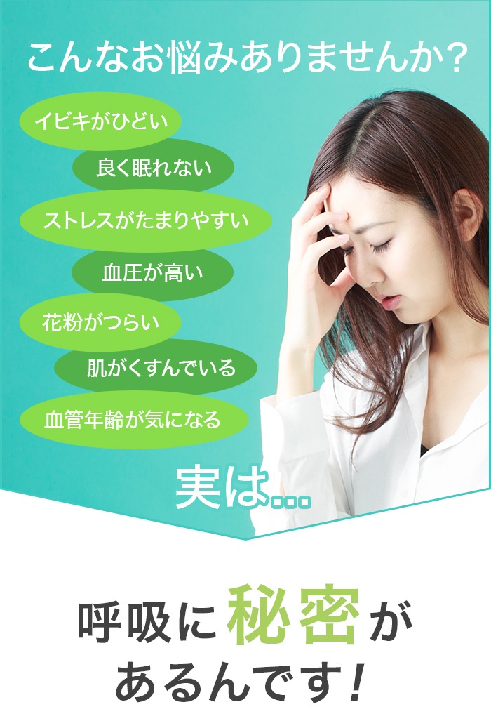 HANATAKA�ʥϥʥ����ˡ��ȡʤ����᥿���סˡ�����Ƥ�����������ɡ�Ƶ�¥�������񡡢������������͸����ξ����᥵�����⤢��ޤ� �ɥ饤�ޥ��� ���Ƶ��к�