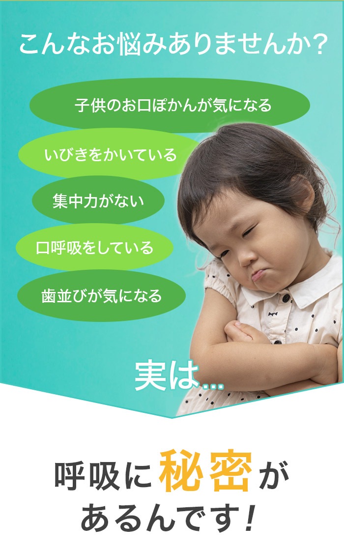 HANATAKA�ʥϥʥ����� S��ss�������� �Ļ������ǯ���� ���ʶ��� ���Ƶ۲��� ɡ�Ƶ�¥�� ɡ�ڥ��ȥ�å�