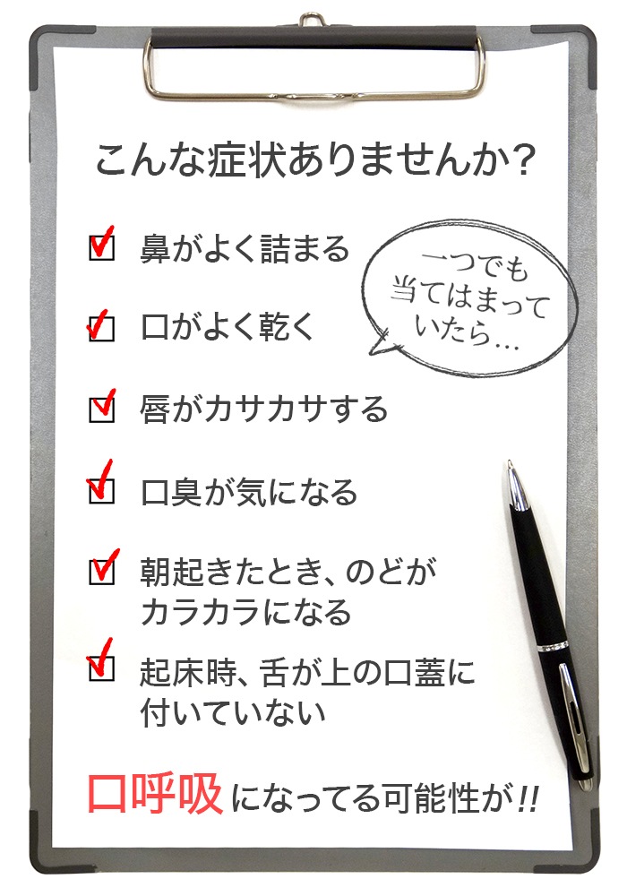 HANATAKA�ʥϥʥ����� S��ss�������� �Ļ������ǯ���� ���ʶ��� ���Ƶ۲��� ɡ�Ƶ�¥�� ɡ�ڥ��ȥ�å�