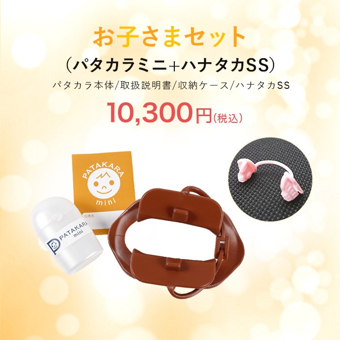 �������ގ����� �ʎߎ����׎Ў� �ʎŎ���SS(�Ļ�����)