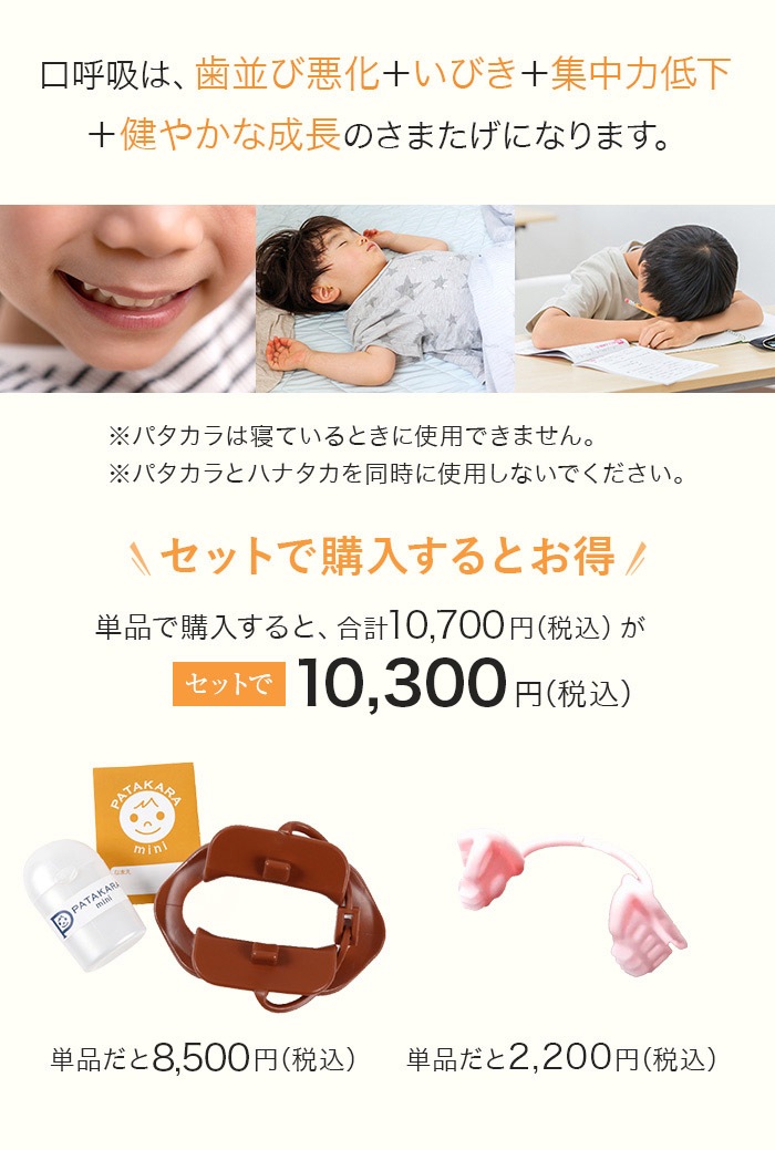 �������ގ����� �ʎߎ����׎Ў� �ʎŎ���SS(�Ļ�����)