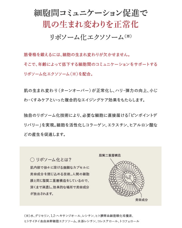 �ʎߎ����׎̎ߎڎЎ��Ѷ˾����Ǝ����ġ������������к���ѥ�����ץ�ߥ���ܺǿ����������ƥ��꡼��