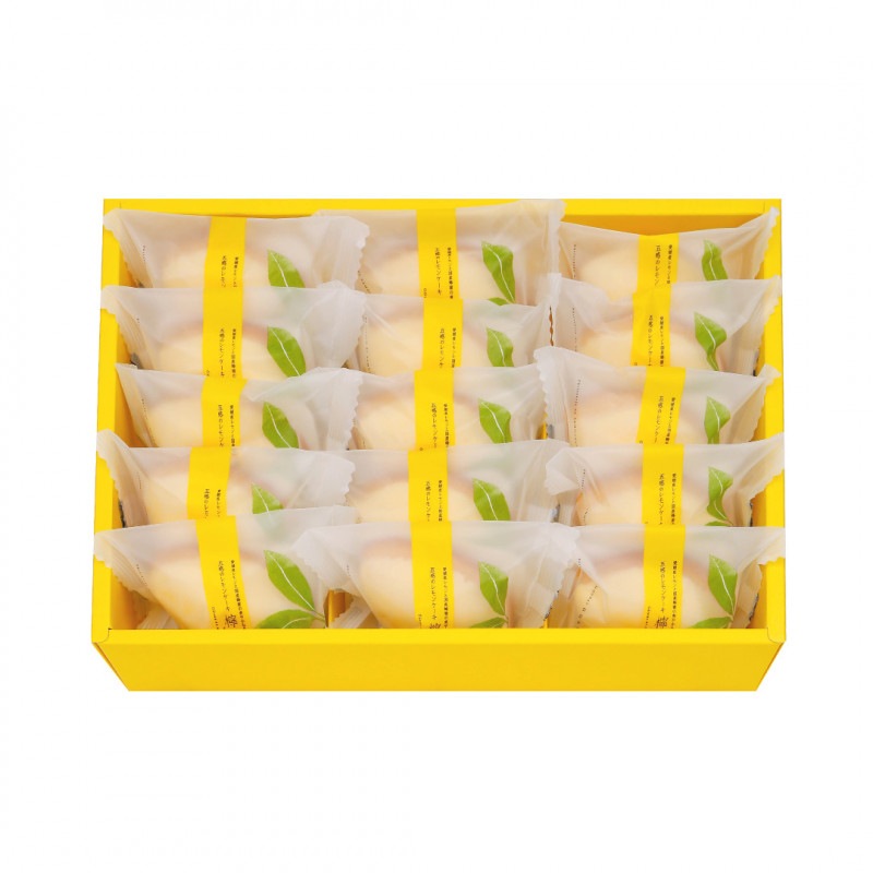 ݦݨ���ʤ��󤵤��15����