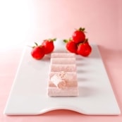 �������μ���14����