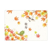 ��Ϸ��������ݤ���