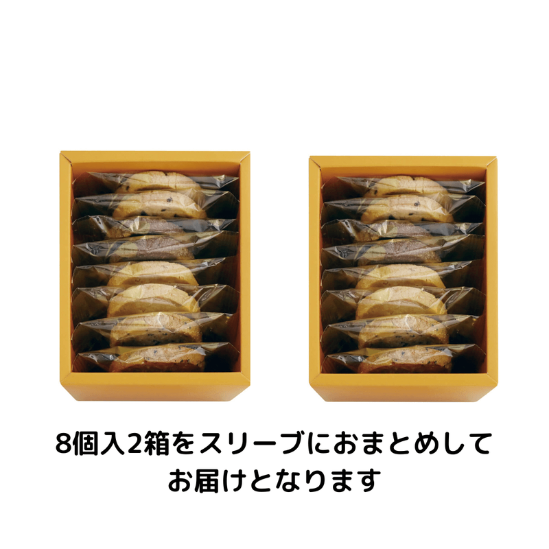 ̥μ¥å16