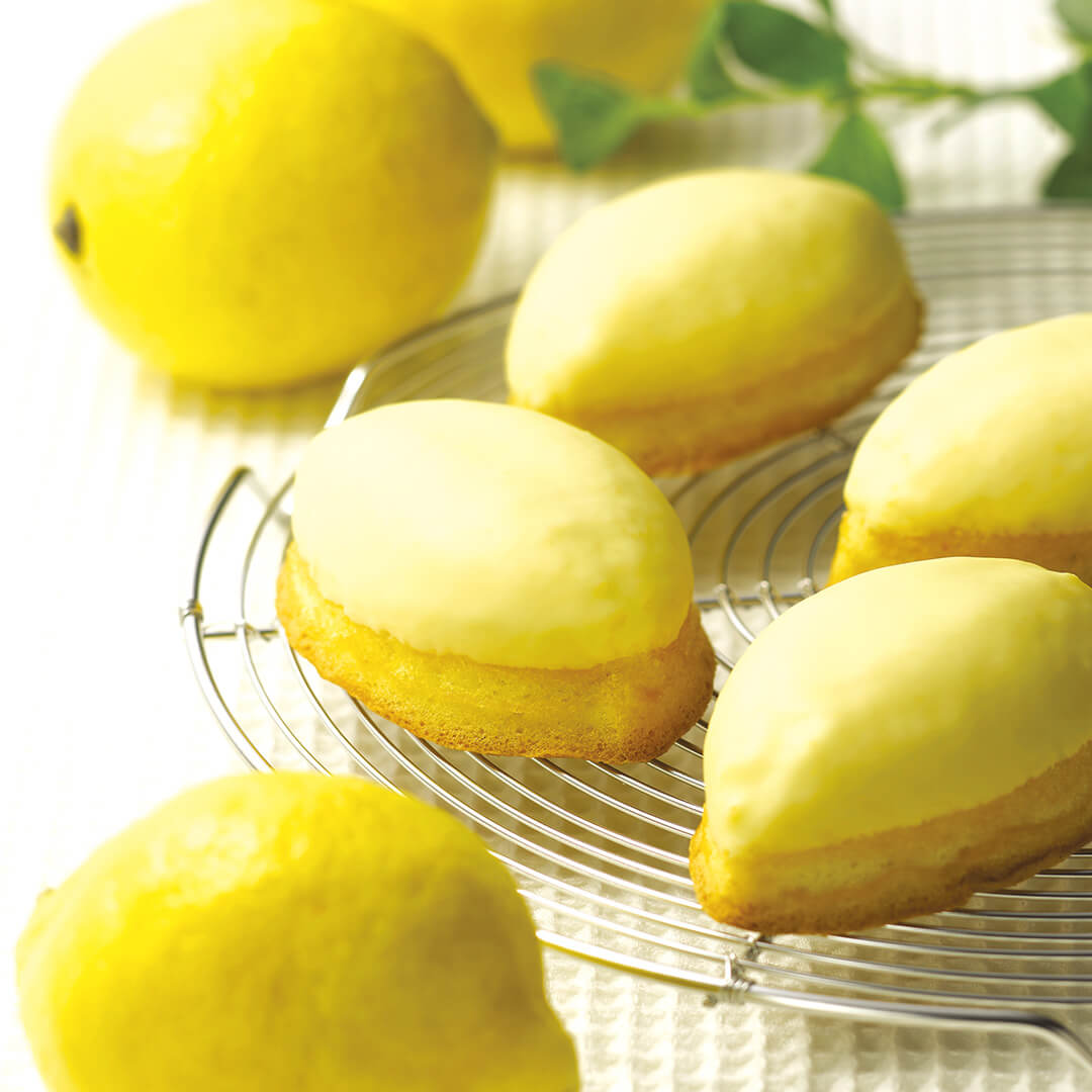 ݦݨ���ʤ��󤵤��15����