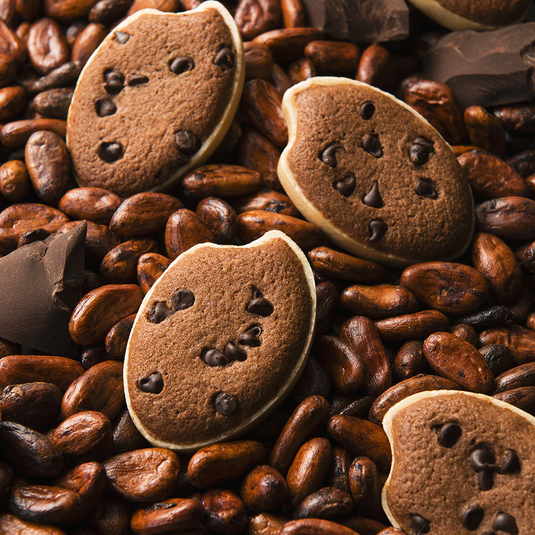 ��ΰ� �̡���5����