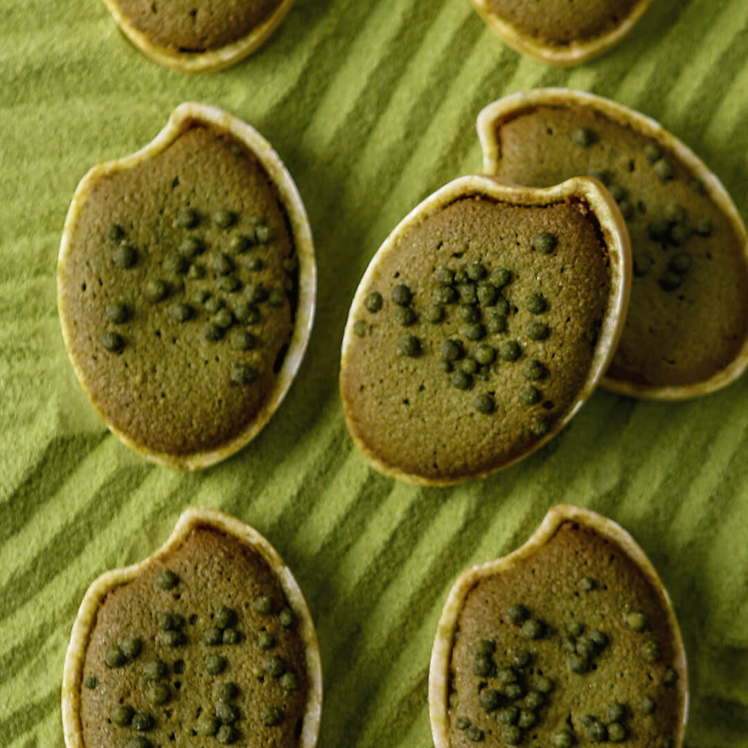 ��ΰ� ����������5����