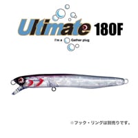 アルティメット180F