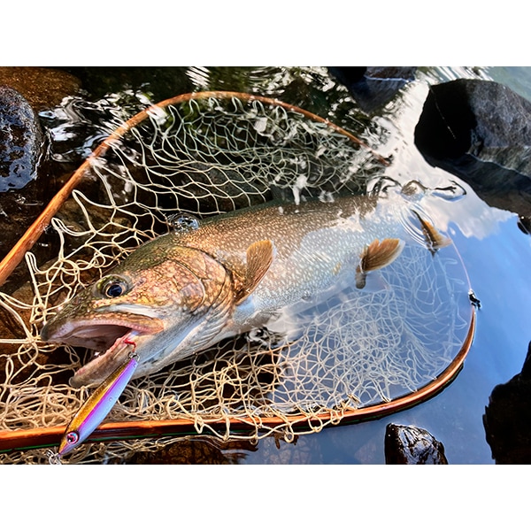  Kaisey 30g Lake Special Colorʤ30g 쥤ڥ륫顼2025