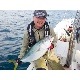 7/131 SALEо 1,650ߢ825ߡ۳ Kaisey Arthur 130gʥ130g 