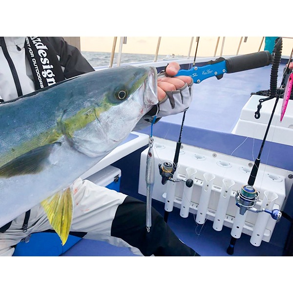 海晴アーサー180g