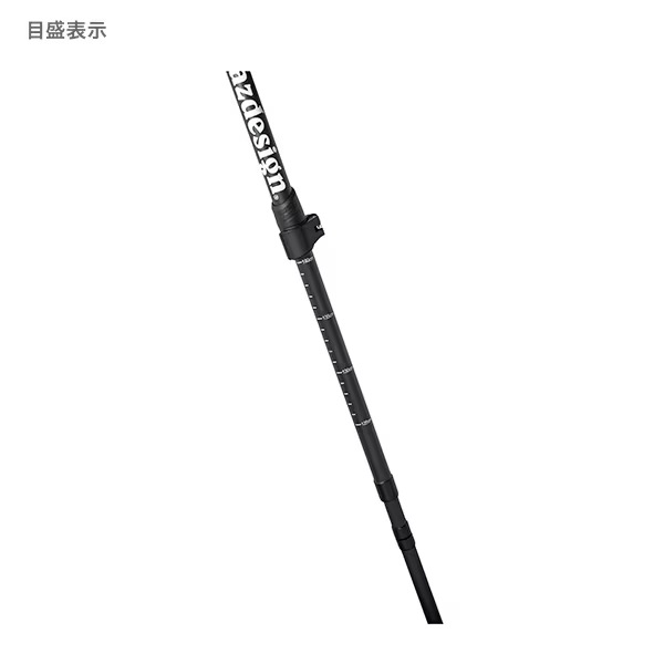 ウェーディングスタッフⅡ