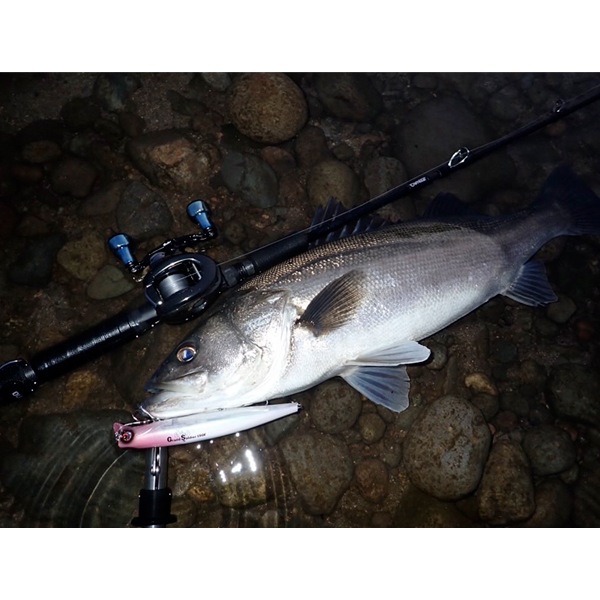 グランソルジャー190F　標準カラー【2025新色】