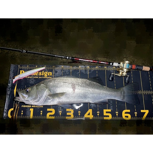 グランソルジャー190F　標準カラー【2025新色】