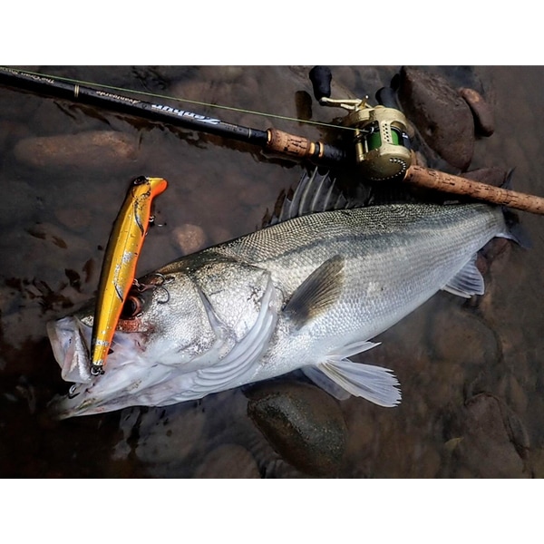 グランソルジャー190F BFカラー | LURE,Grand Soldier | 【Pazdesign