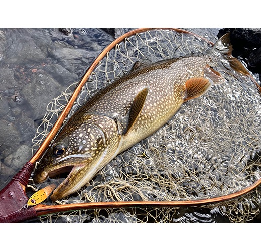  Kaisey 18g Lake Special Colorʤ18g 쥤ڥ륫顼