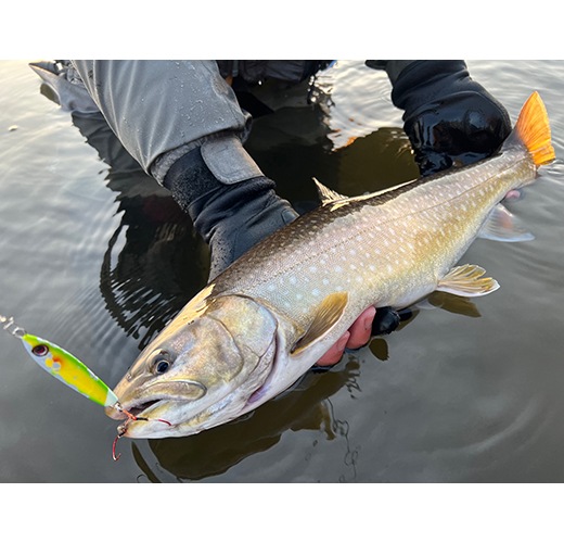  Kaisey 18g Lake Special Colorʤ18g 쥤ڥ륫顼